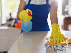 domestic_cleaning
